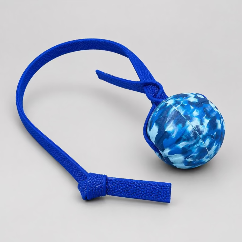 Foam Reward Ball w/ Handle