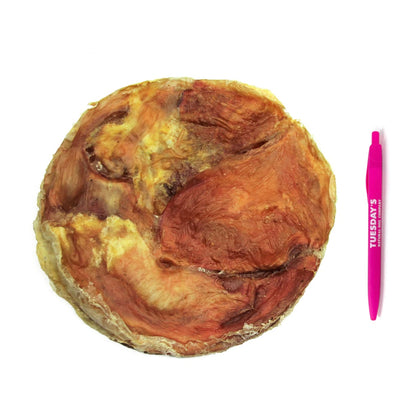 Tremenda Disc - Performance Dog Supply