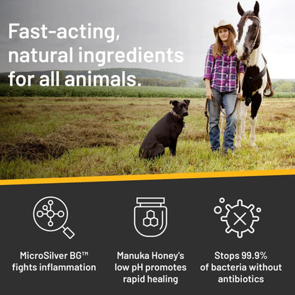 Silver Honey Rapid Skin Relief Medicated Shampoo - Performance Dog Supply