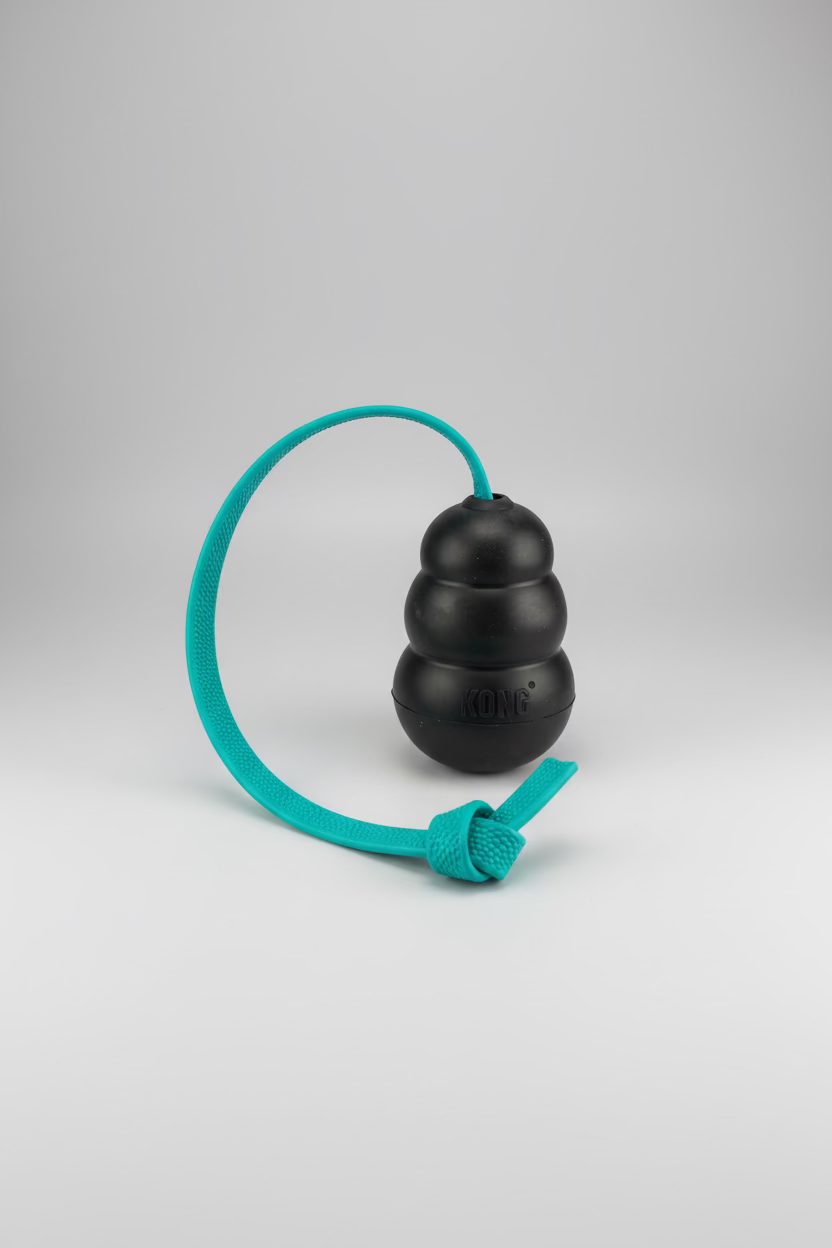 Pebble Handle Tug w/Kong