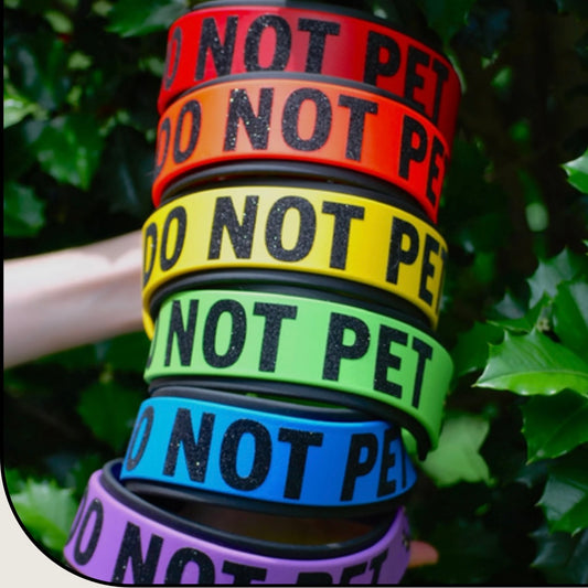 2” Wide Double Layered Biothane Collar