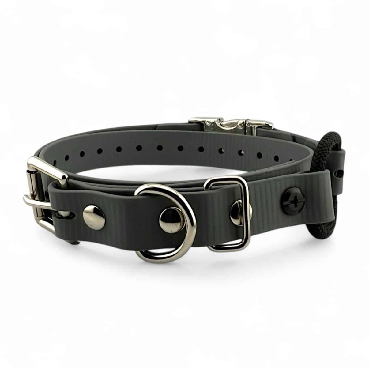 3/4” Ecollar Quick Buckle Bungee Strap