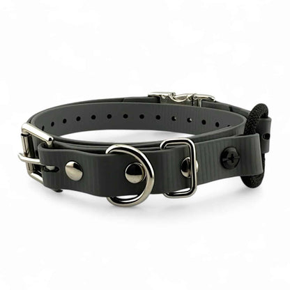 3/4” Ecollar Quick Buckle Bungee Strap