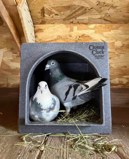 Cluster Cluck Nesting Box System