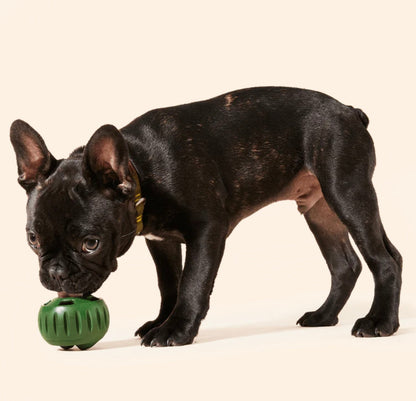 Woof Calming Pops - Performance Dog Supply