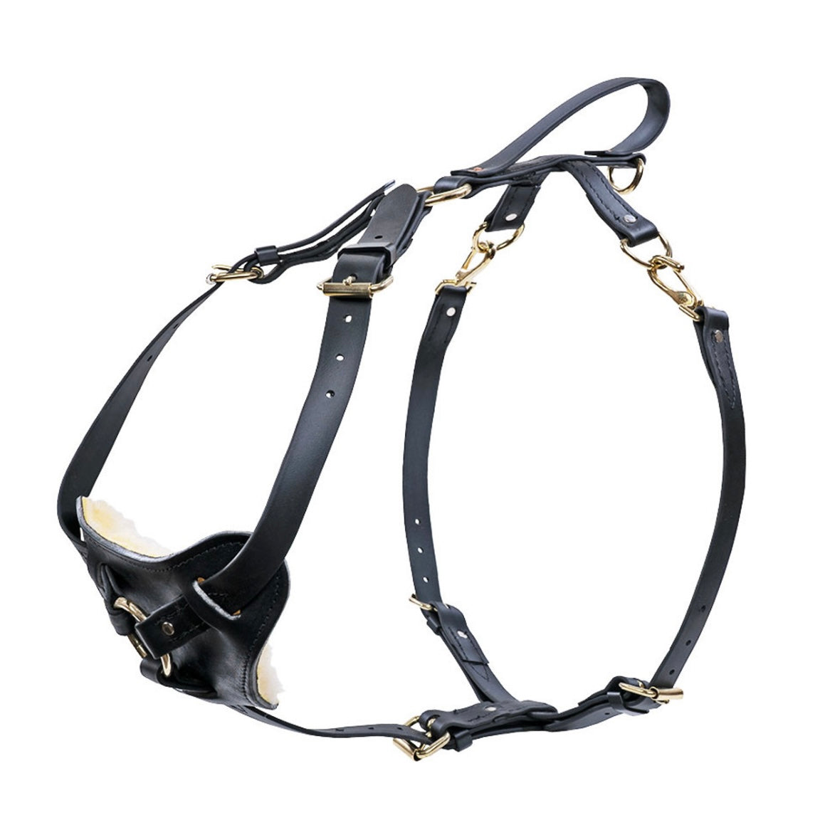 Ray Allen Biothane Multi-Function Harness