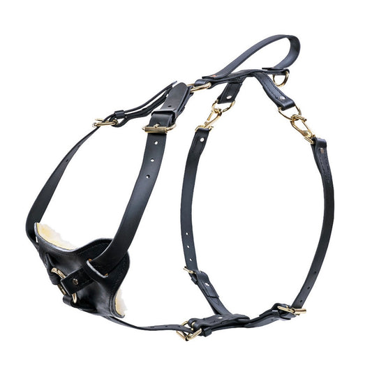Ray Allen Biothane Multi-Function Harness