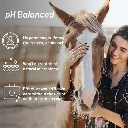 Silver Honey Rapid Skin Relief Medicated Shampoo - Performance Dog Supply