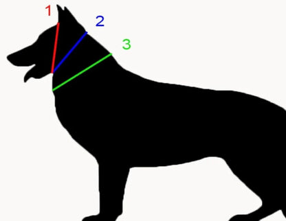 Biothane Slip Collar - Performance Dog Supply