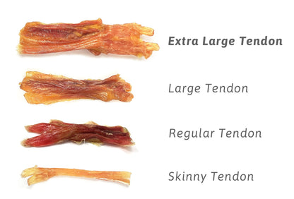 Extra Large Beef Tendons - Performance Dog Supply