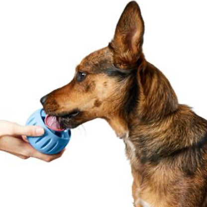 WOOF - The Pupsicle - Performance Dog Supply