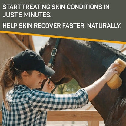 Silver Honey Rapid Skin Relief Medicated Shampoo - Performance Dog Supply