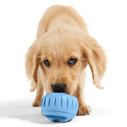 WOOF - The Pupsicle - Performance Dog Supply