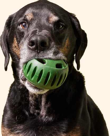 WOOF - The Pupsicle - Performance Dog Supply