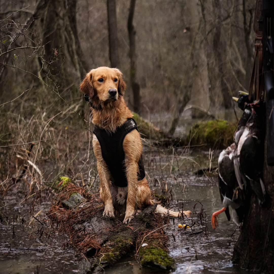 2.0 Sure Fit Waterfowl Dog Vest