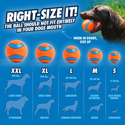 CHUCKIT! ULTRA BALL DOG TOY