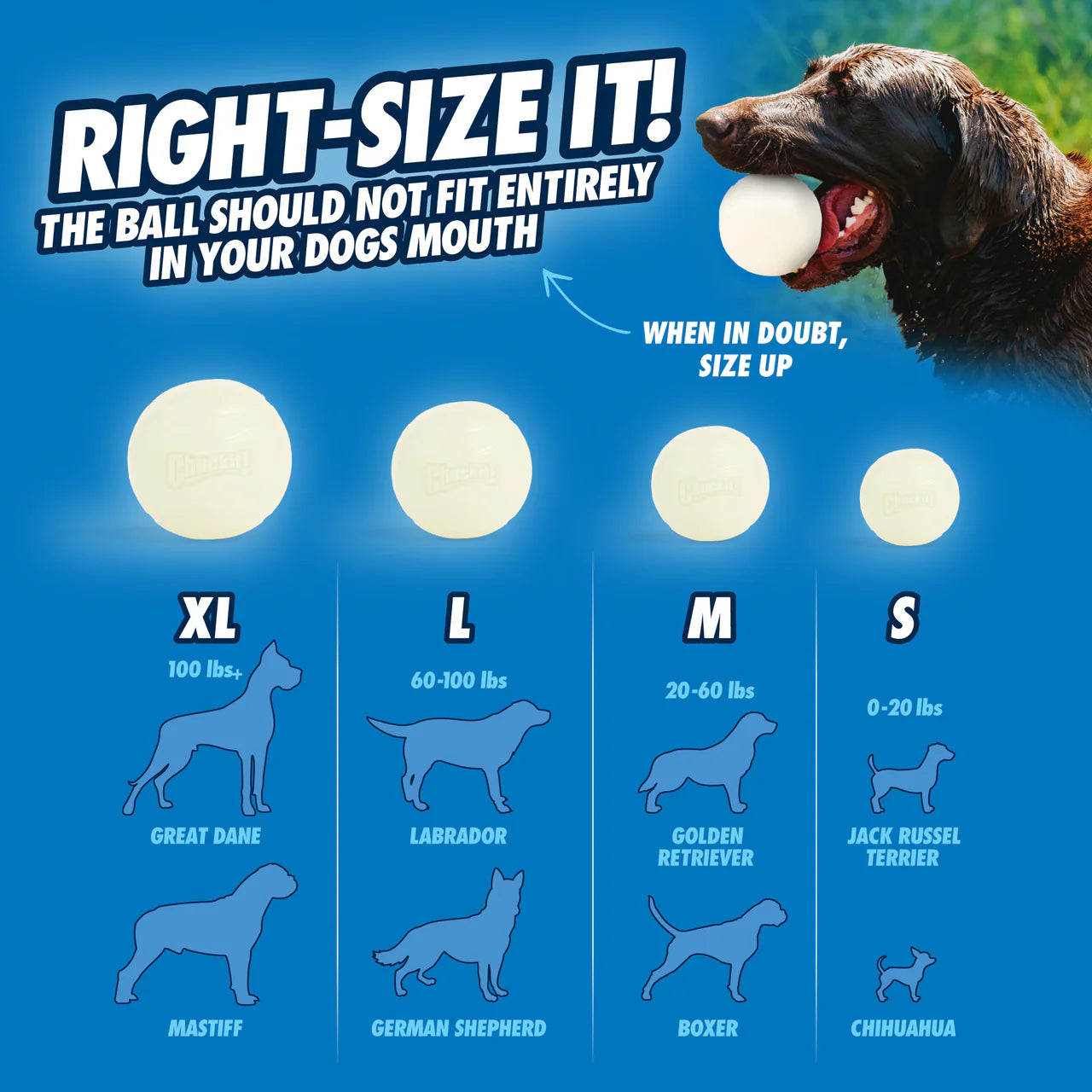CHUCKIT! MAX GLOW FETCH BALL
