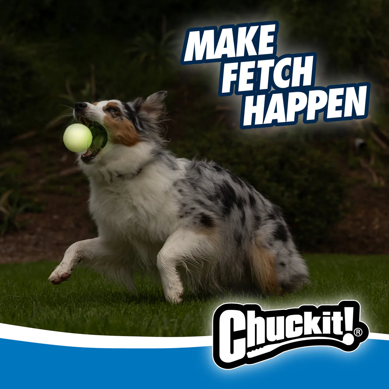 CHUCKIT! MAX GLOW FETCH BALL