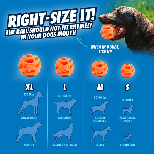 CHUCKIT! AIR FETCH BALL