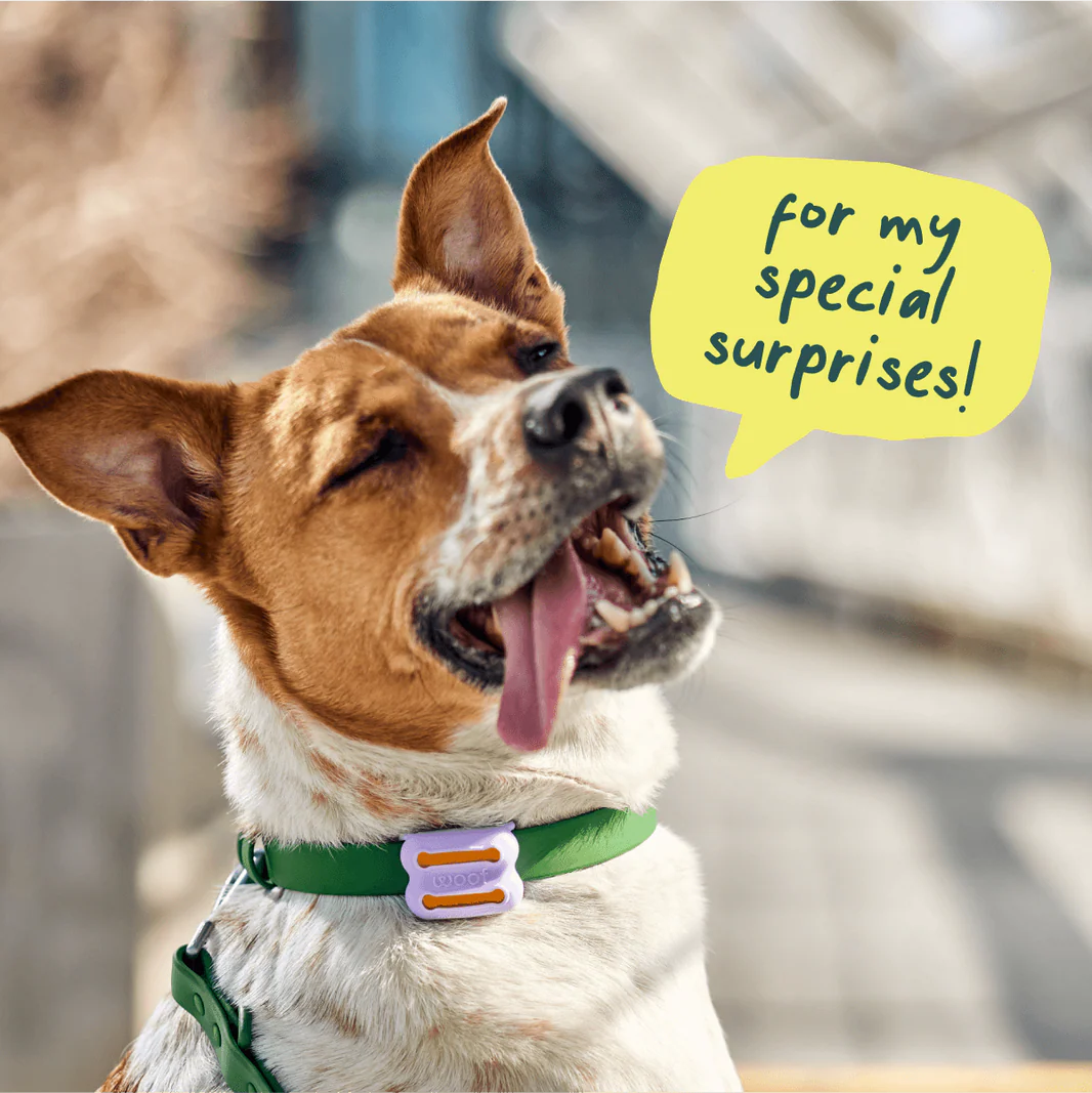 Woof Poomergency Backup Poop Bags