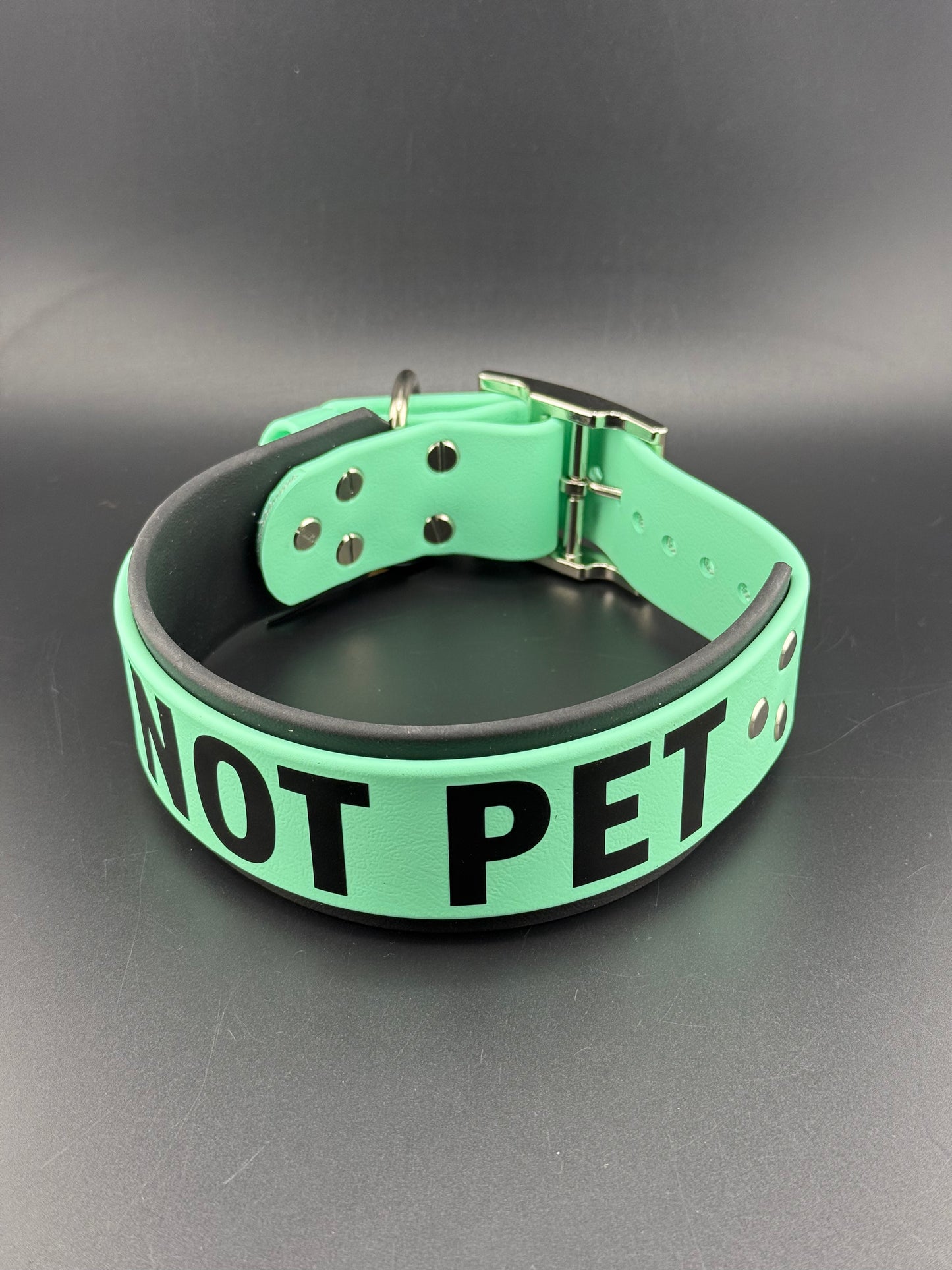2” Wide Double Layered Biothane Collar