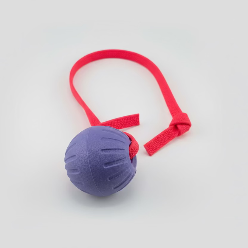 Foam Reward Ball w/ Handle