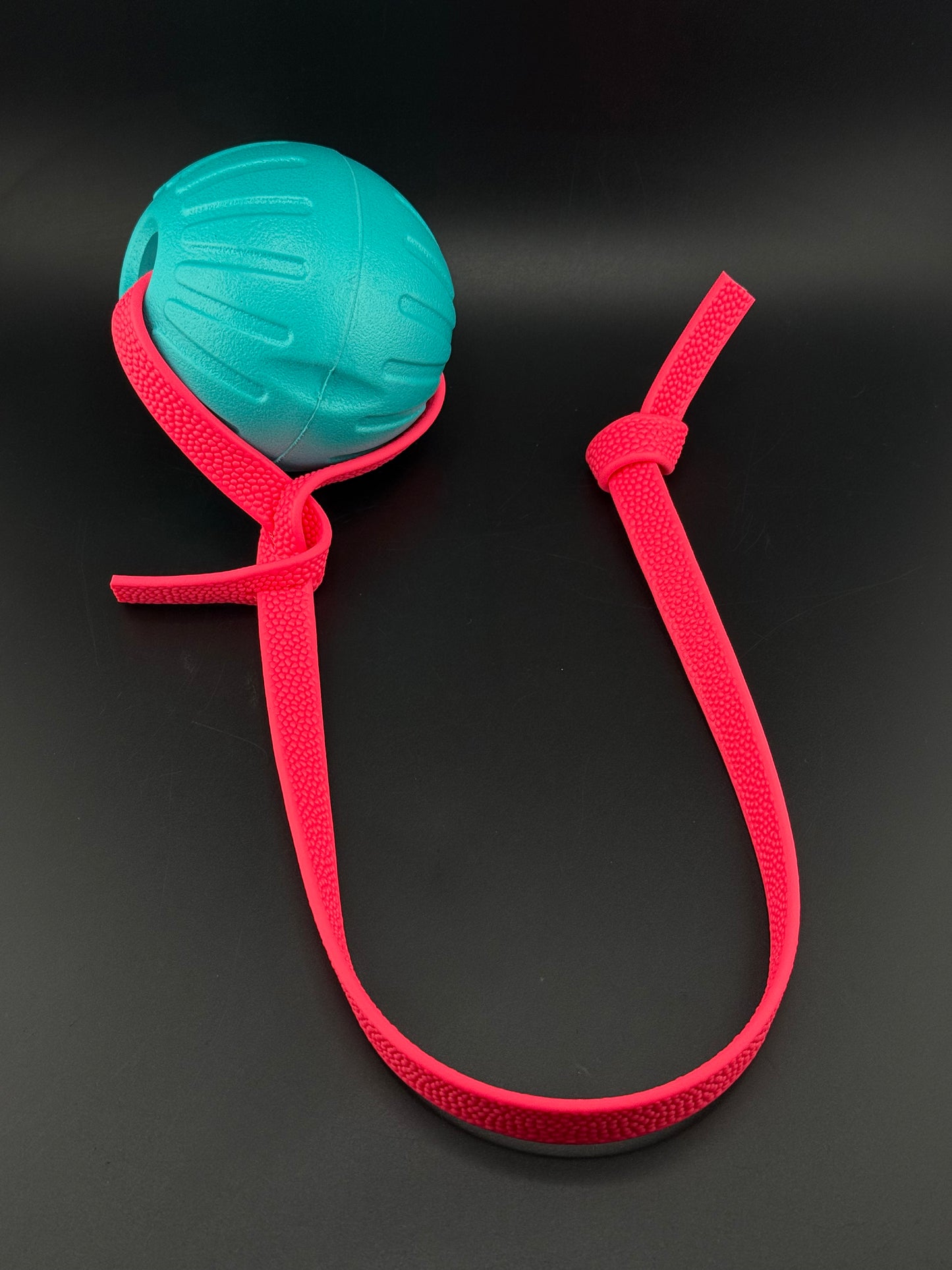 Foam Reward Ball w/ Handle