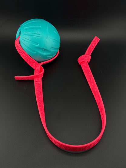 Foam Reward Ball w/ Handle