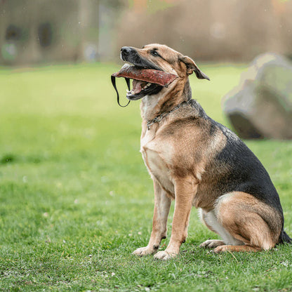 Hermsprenger Leather Bite Tug