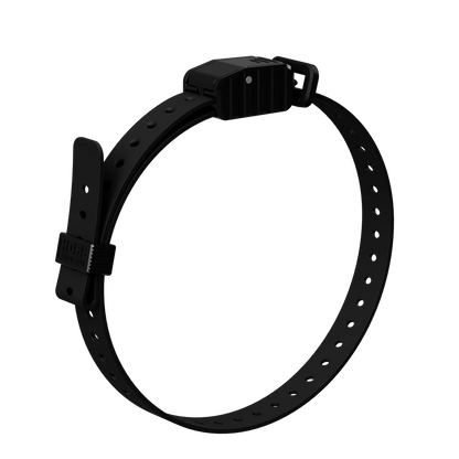 Hoss Straps 3/4” Replacement E-Collar Band