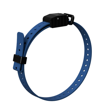 Hoss Straps 3/4” Replacement E-Collar Band