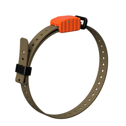 Hoss Straps 3/4” Replacement E-Collar Band