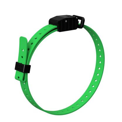 Hoss Straps 3/4” Replacement E-Collar Band