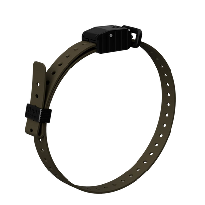 Hoss Straps 3/4” Replacement E-Collar Band