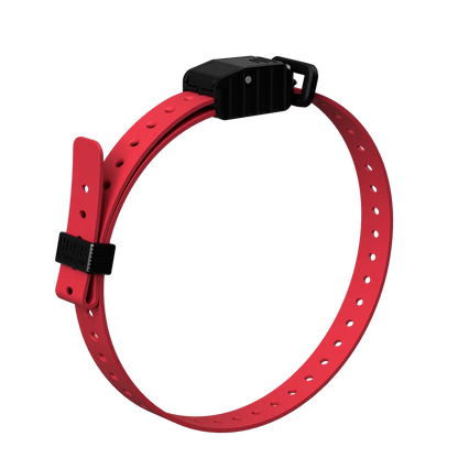 Hoss Straps 3/4” Replacement E-Collar Band