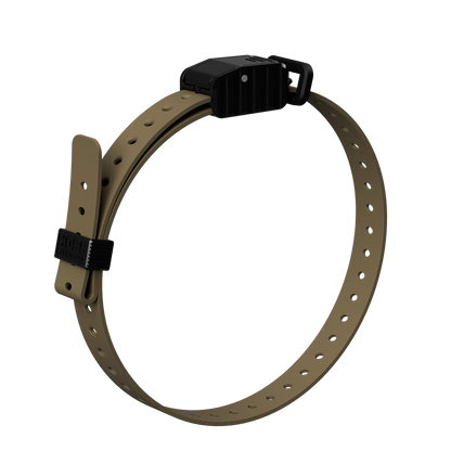 Hoss Straps 3/4” Replacement E-Collar Band