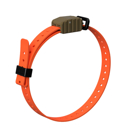 Hoss Straps 3/4” Replacement E-Collar Band