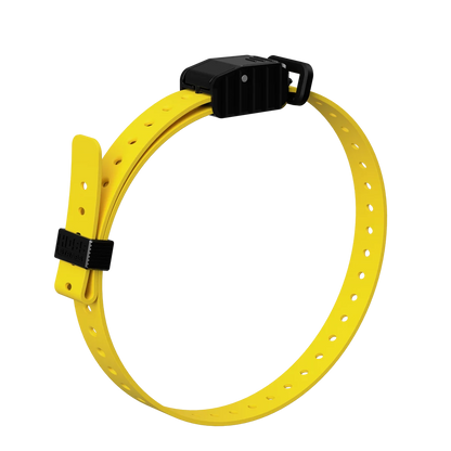 Hoss Straps 3/4” Replacement E-Collar Band