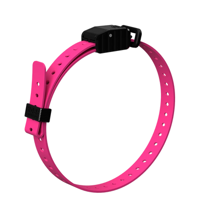 Hoss Straps 3/4” Replacement E-Collar Band