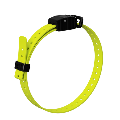 Hoss Straps 3/4” Replacement E-Collar Band