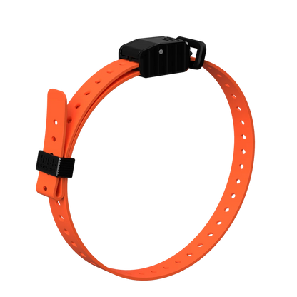 Hoss Straps 3/4” Replacement E-Collar Band
