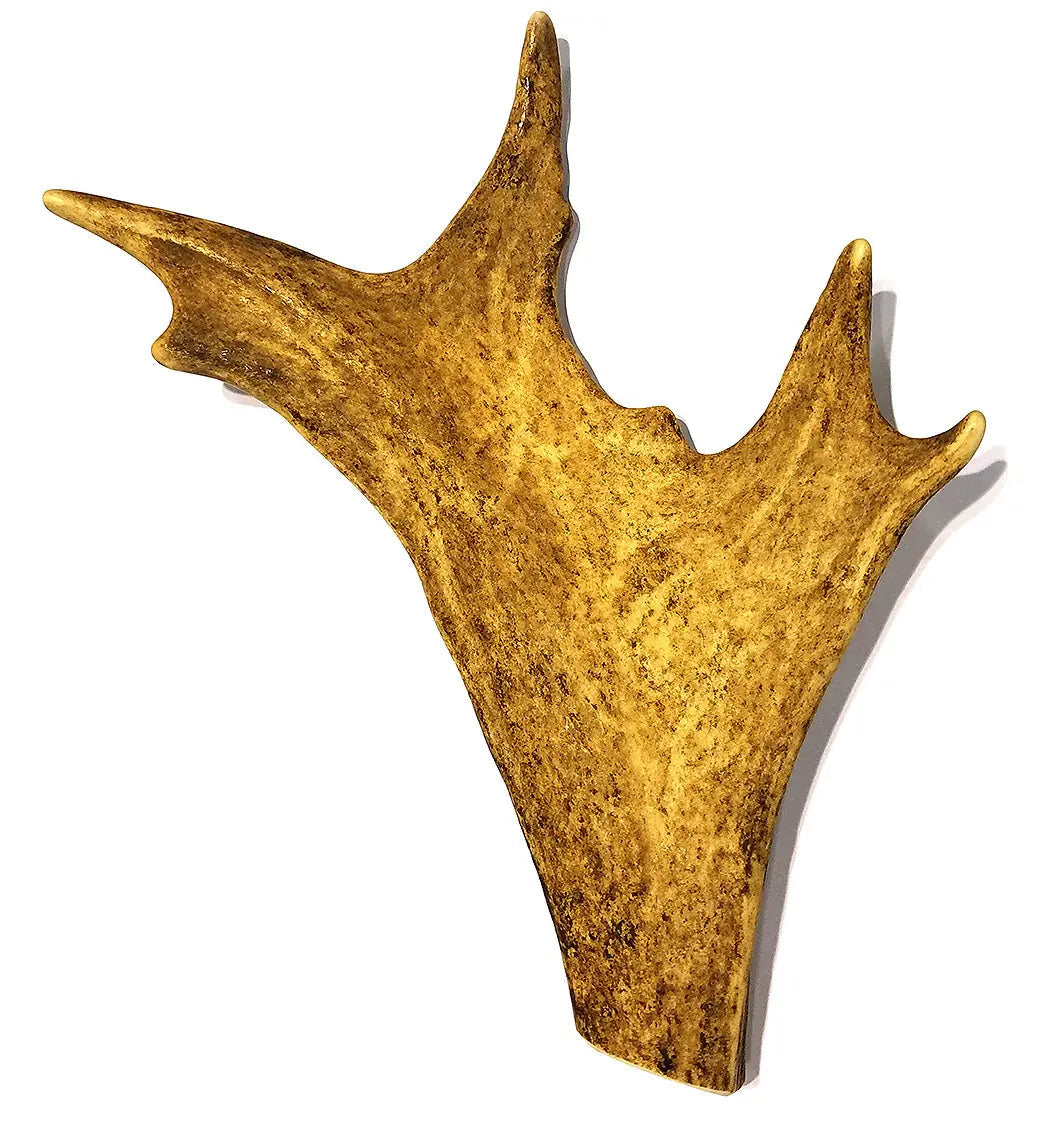 TREAT BAR - Paddle Deer Antler - 1 PIECE