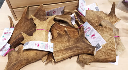 TREAT BAR - Paddle Deer Antler - 1 PIECE