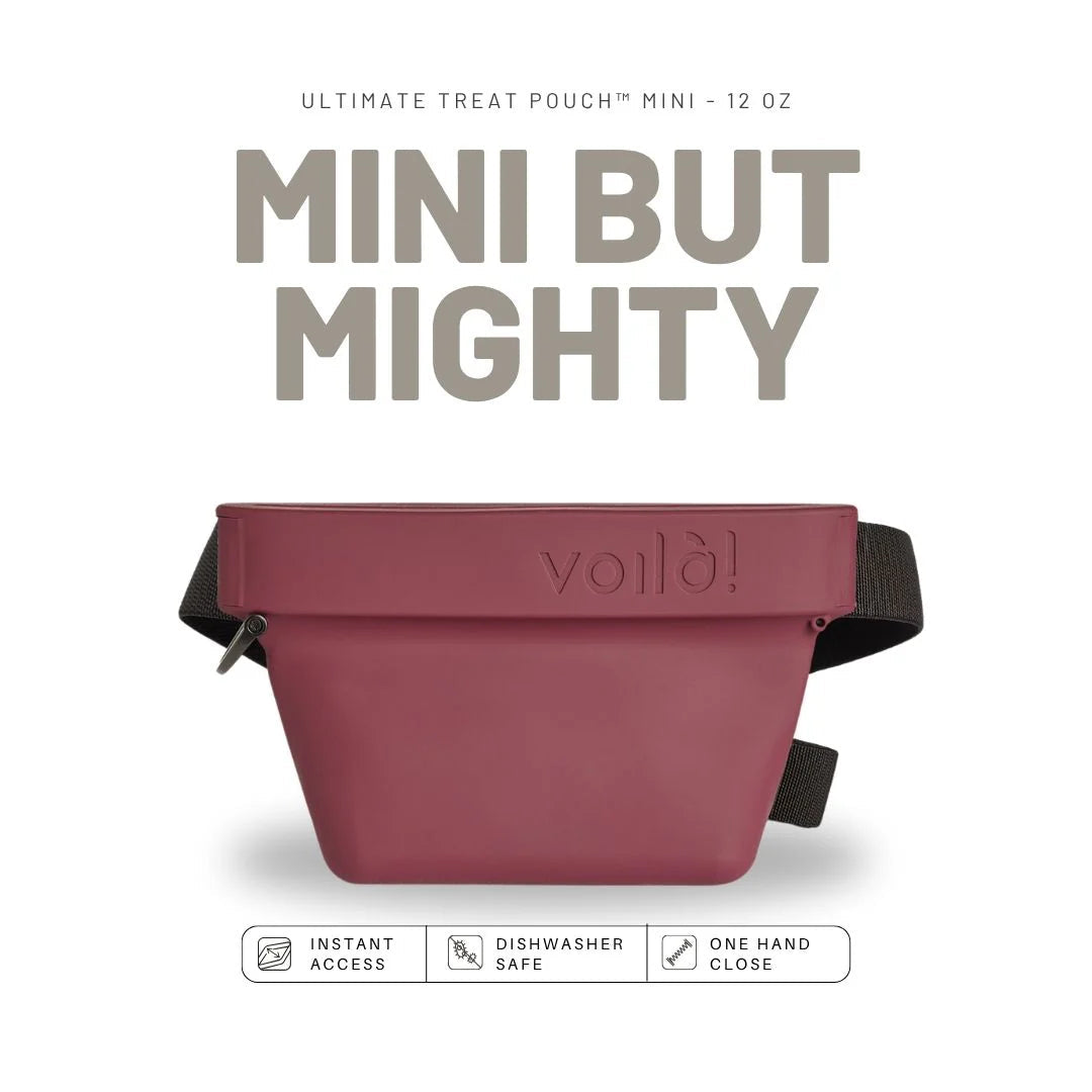 The Mini Ultimate Treat Pouch 12oz