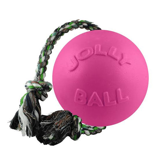 Jolly Pets Romp N Roll