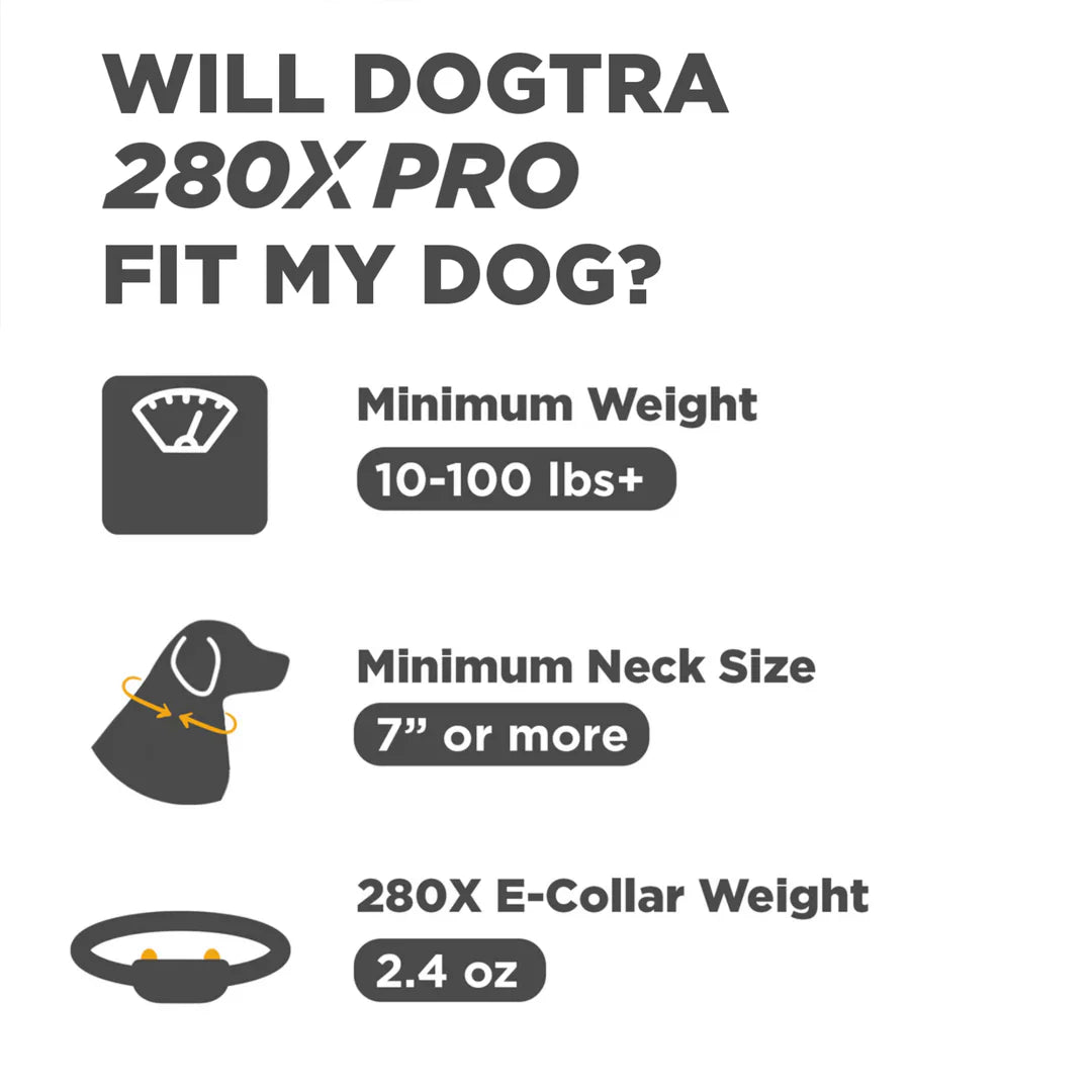 Dogtra 280X Pro