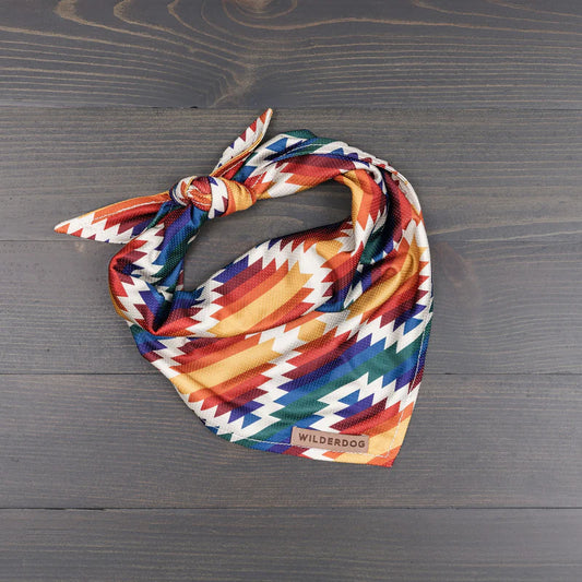 Rainbow Bandana - Performance Dog Supply