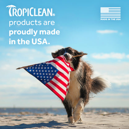 Tropiclean Aloe & Coconut Deodorizing Shampoo - Performance Dog Supply