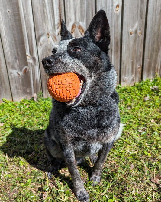N-Gage Classic Squeaker Ball