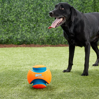 Chuck-It Kick Fetch Ball - Performance Dog Supply
